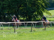 EL130924-8 - Emma Lavelle Stable Visit